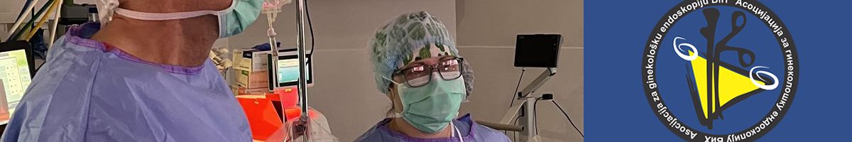 Minimally Invasive Gynecologic Surgery Course 2025-